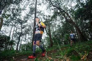 BIB: 
                            <button type="button" onclick="openModal(22569253)" class="btn btn-primary btn-sm float-right btn-popup" data-toggle="modal" data-target=".modal-high-quality">
                        <i class="fas fa-shopping-cart"></i> Add to Cart
                    </button>
                                            <button type="button" onclick="isThisMe(22569253, true)" class="btn btn-success btn-sm float-right btn-popup btn-isme hidden" data-toggle="tooltip" data-placement="bottom" title="นี่คือรูปของคุณใช่ไหม คลิกที่นี่เพื่อเอาเข้าอัลบั้ม">
                        <i class="fas fa-plus"></i> Add to album
                    </button>
                    <button type="button" onclick="isThisMe(22569253, false)" class="btn btn-warning btn-sm float-right btn-popup btn-isnotme hidden">
                        <i class="fas fa-ban"></i> Remove from album
                    </button>